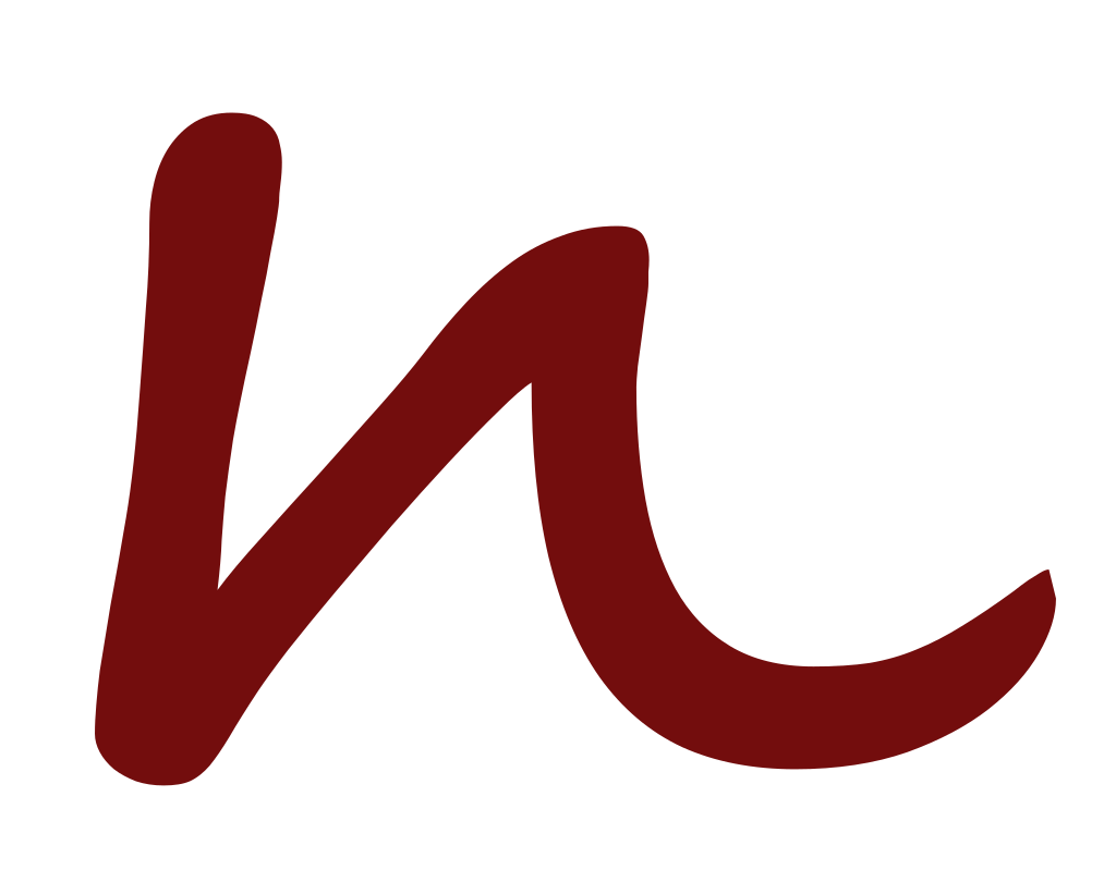 NaidSystems, LLC Logo